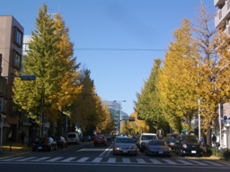 d0036951_14333744.jpg