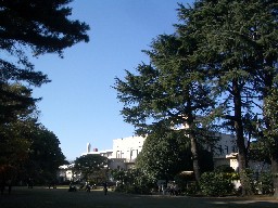 d0036951_14465510.jpg