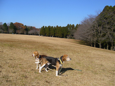b0045357_1422979.jpg