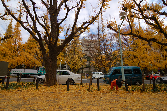 b0030558_148069.jpg