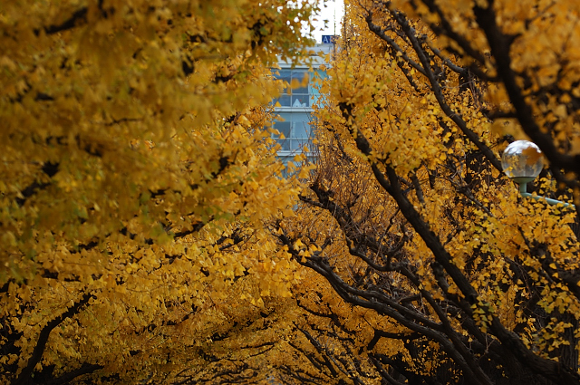b0030558_149354.jpg