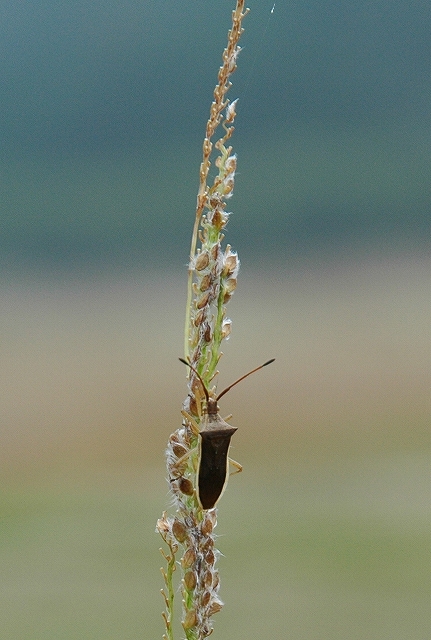c0142963_12115238.jpg