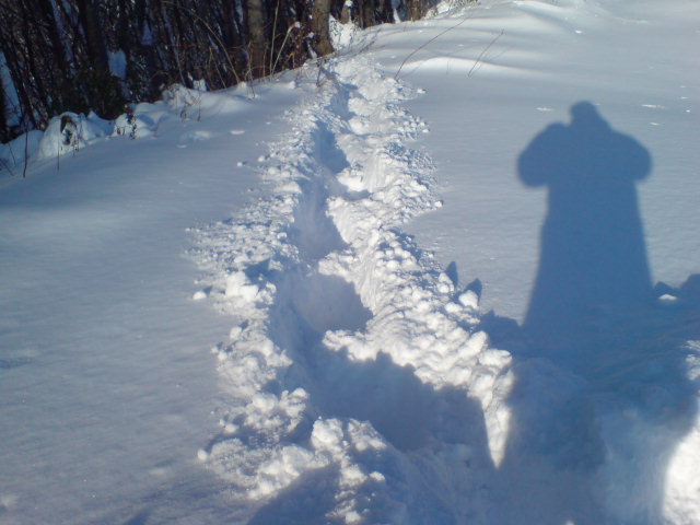 b0085469_16463785.jpg