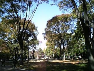 c0061774_22294536.jpg