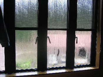 d0116578_201135.jpg