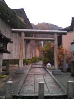 f0089079_930042.jpg