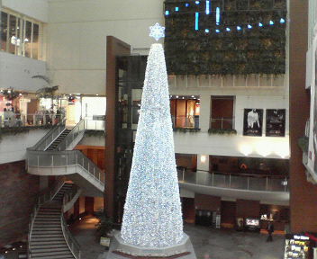 d0056881_2175337.jpg