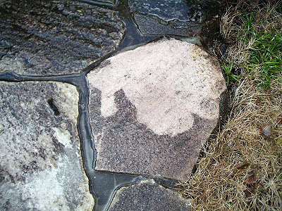c0045882_2262110.jpg