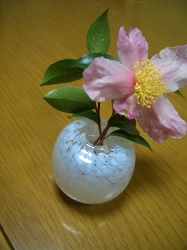 f0118282_2074338.jpg