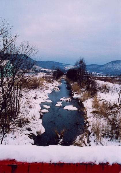 e0051186_10221577.jpg
