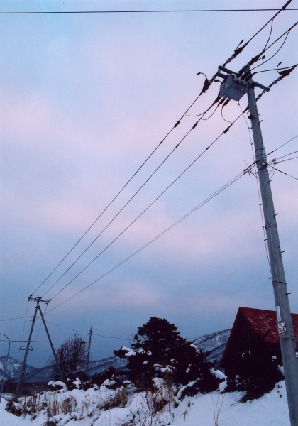 e0051186_10225775.jpg