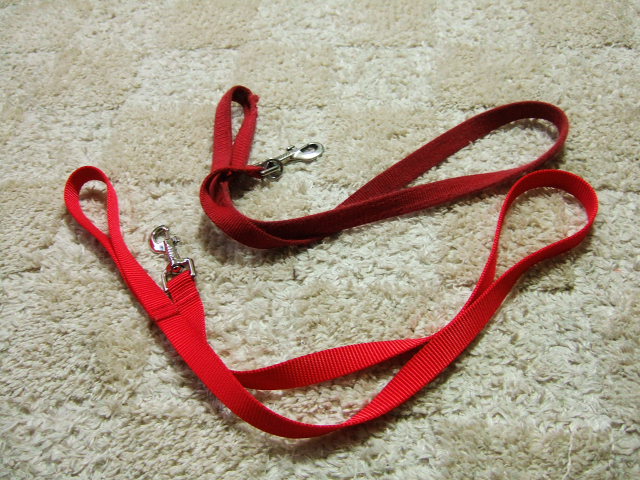 f0054290_21184263.jpg