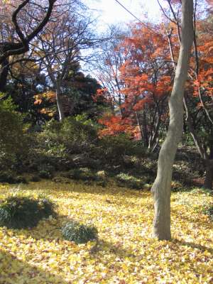 c0087094_21374094.jpg