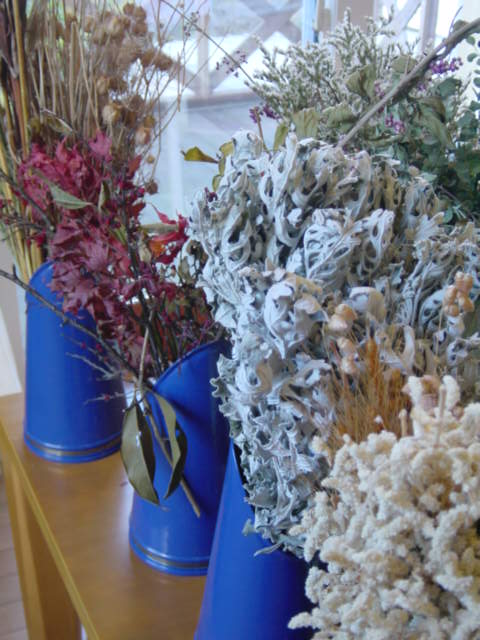 b0083902_04794.jpg