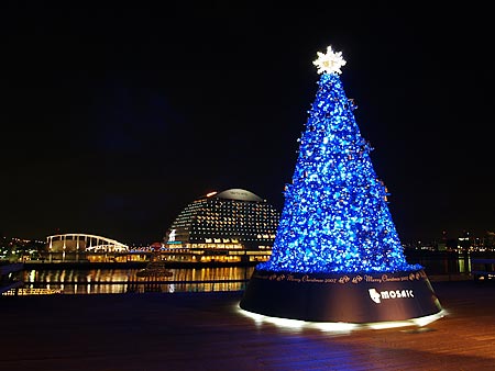 a0041508_21214955.jpg