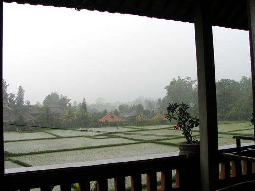 b0051109_1611572.jpg