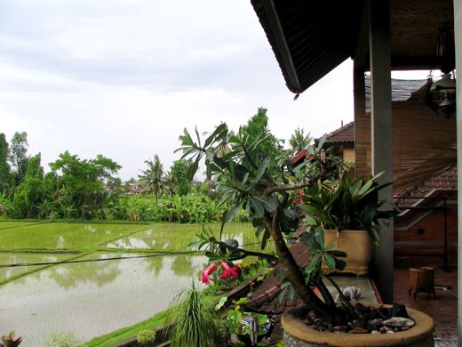 b0051109_1685858.jpg