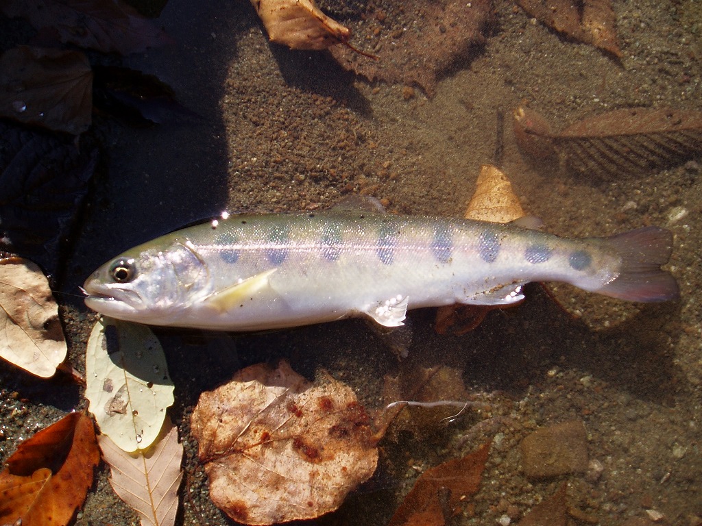 f0137709_0211163.jpg