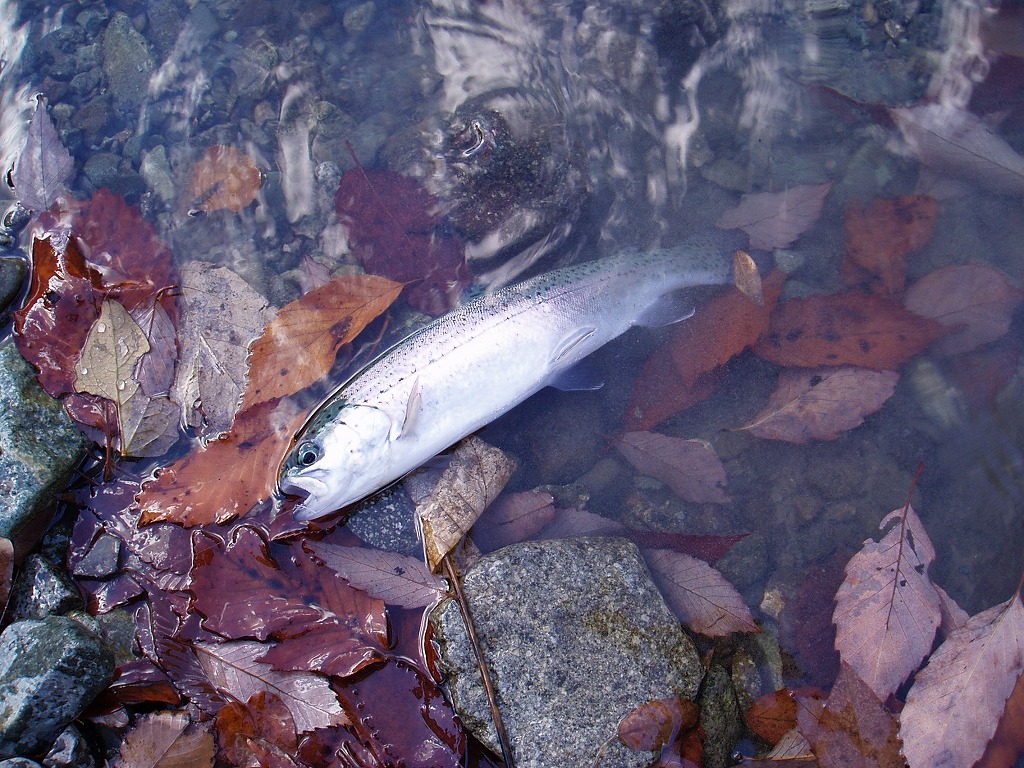 f0137709_064225.jpg