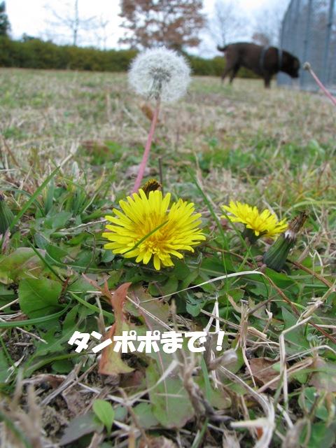 d0081210_8344811.jpg