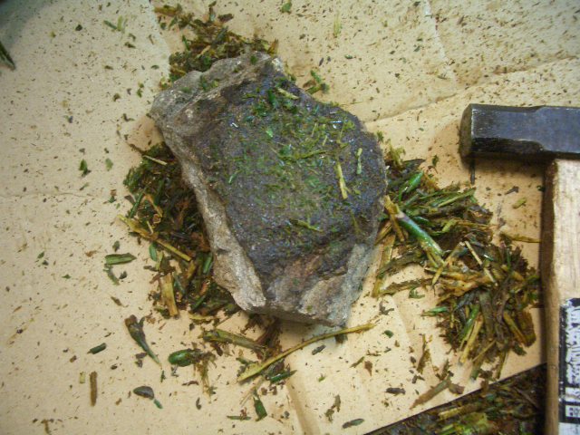 d0050713_12505761.jpg