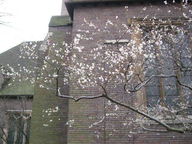 f0077414_1014416.jpg