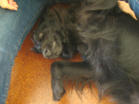c0012120_23381853.jpg