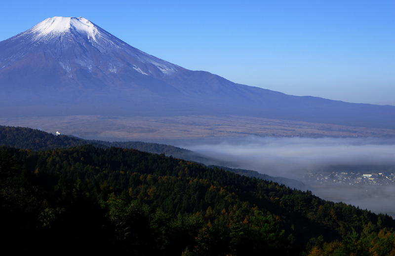 f0035323_8421545.jpg