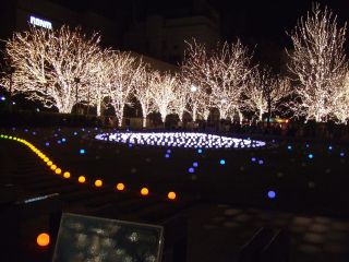 f0149731_2354120.jpg