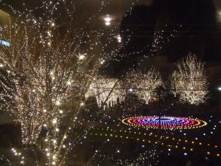 f0149731_23574898.jpg