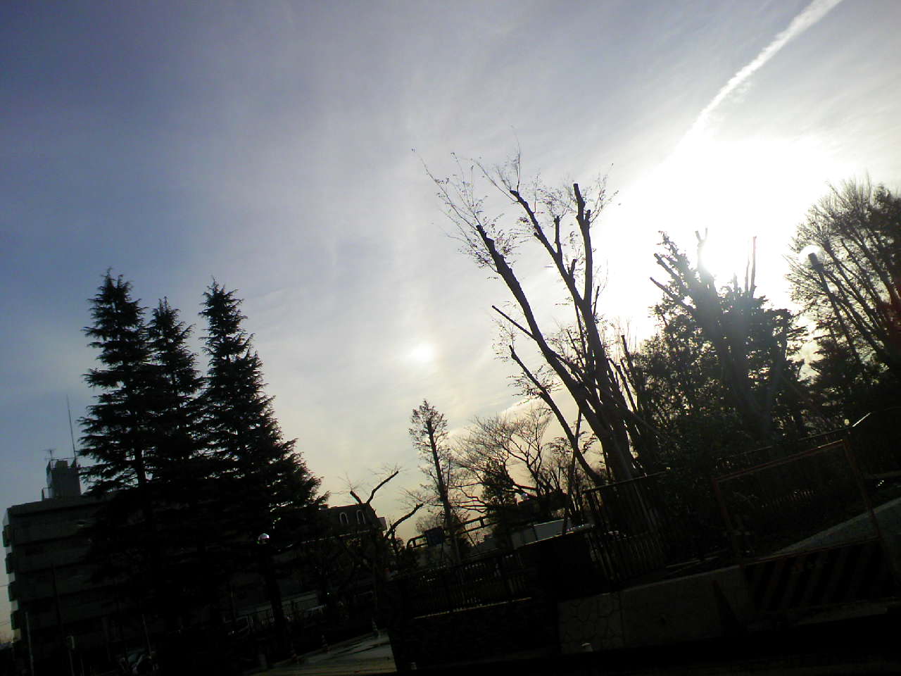 c0125637_8512889.jpg