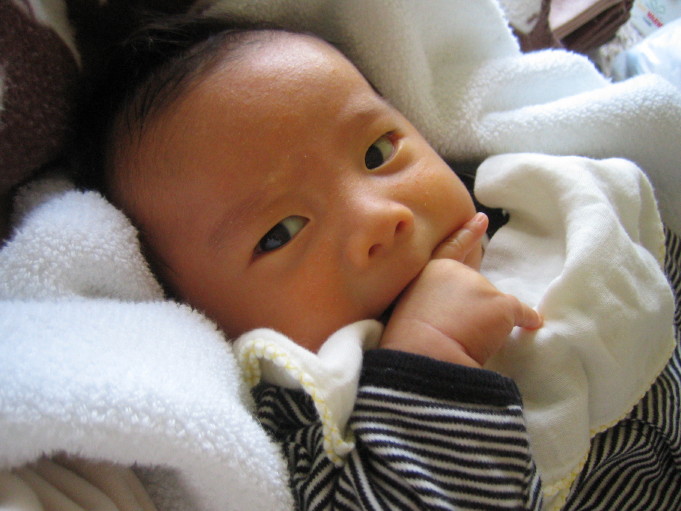 c0130847_1594687.jpg