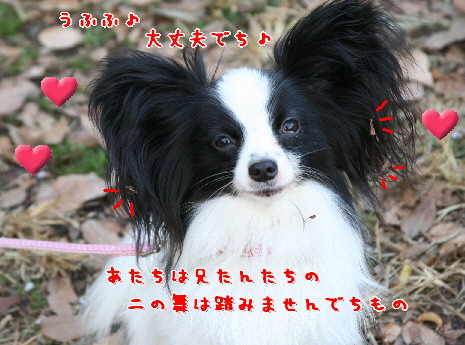 d0013149_0351926.jpg