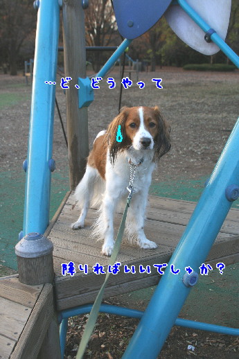 d0013149_07146.jpg