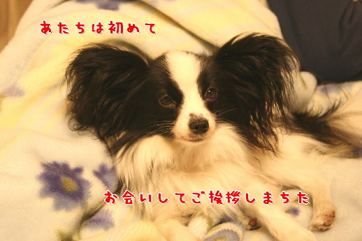 d0013149_23355868.jpg