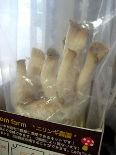 c0003752_2157267.jpg