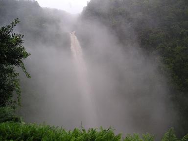 f0025355_2305352.jpg