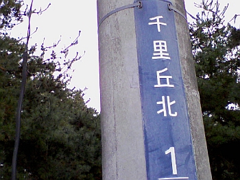a0004359_041787.jpg