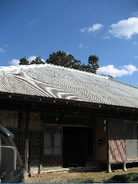 c0038170_188994.jpg