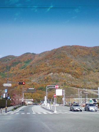 a0081772_2323894.jpg