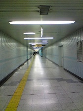 c0102375_283468.jpg