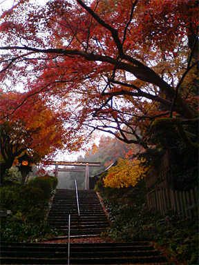 f0089079_1285492.jpg