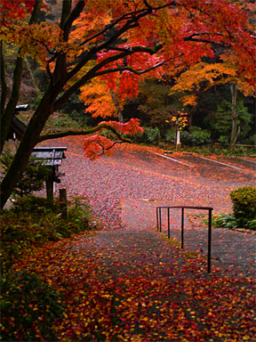 f0089079_1294584.jpg