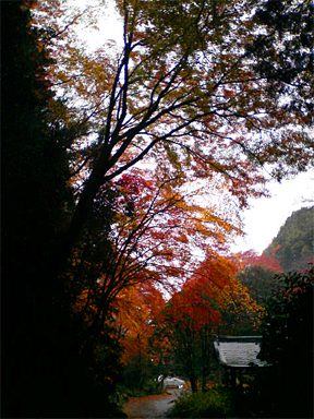 f0089079_1321931.jpg