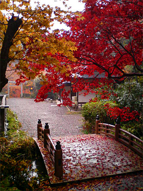 f0089079_1345889.jpg