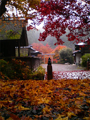 f0089079_134926.jpg