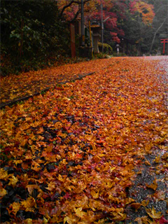 f0089079_137759.jpg