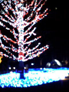 c0027181_19374047.jpg