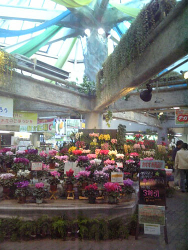 f0133681_22464891.jpg