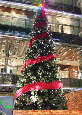 e0086885_9232489.gif